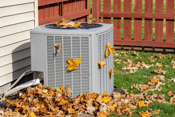 Best Best HVAC Companies  in Brownsville, FL